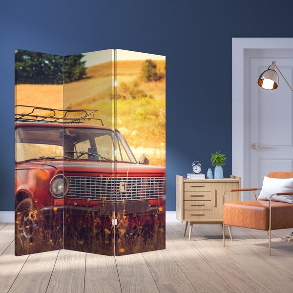 Paravan - Auto u polju (126x170 cm)