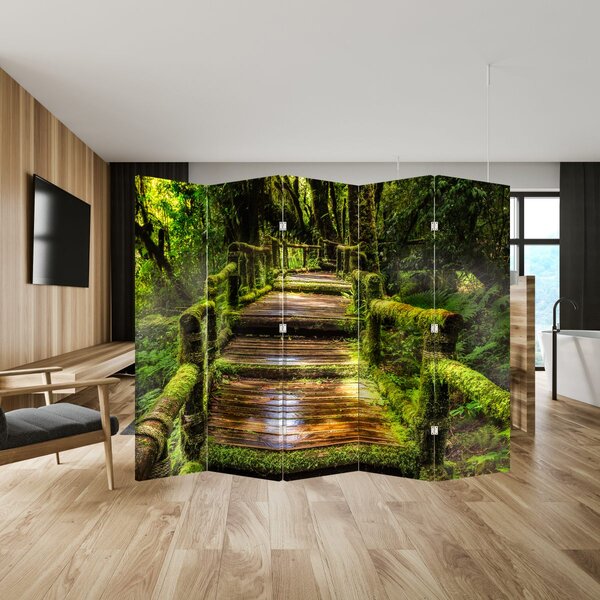Paravan - Stepenice u prašumi (210x170 cm)