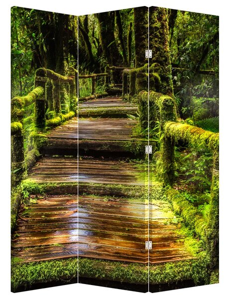 Paravan - Stepenice u prašumi (126x170 cm)