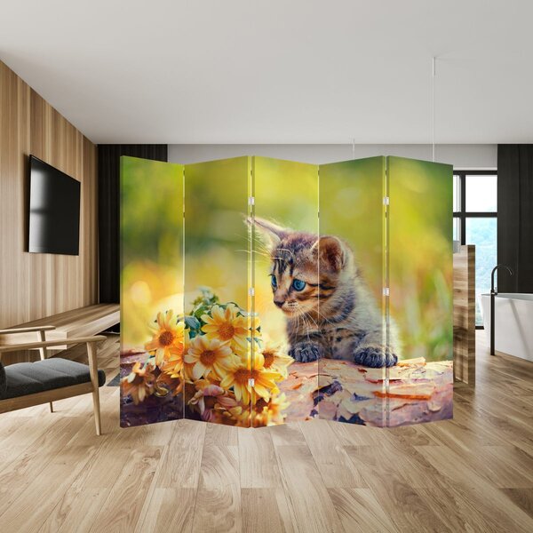 Paravan - Mačić gleda cvijet (210x170 cm)