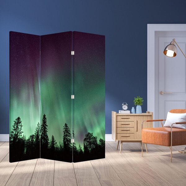 Paravan - Aurora Borealis (126x170 cm)