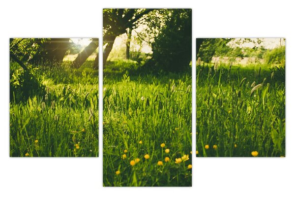 Slika prirode - livada (90x60 cm)