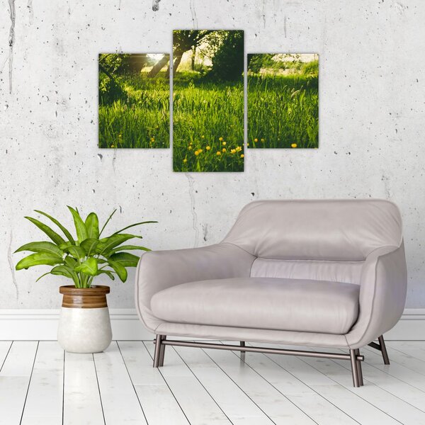 Slika prirode - livada (90x60 cm)