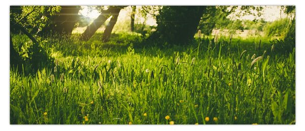 Slika prirode - livada (120x50 cm)
