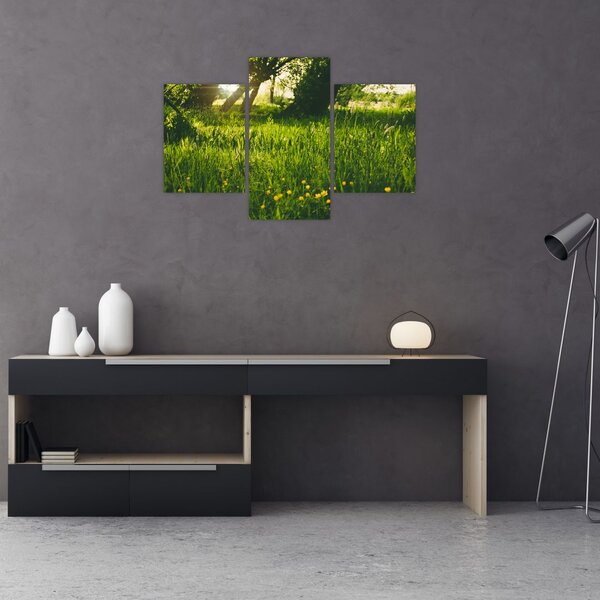 Slika prirode - livada (90x60 cm)