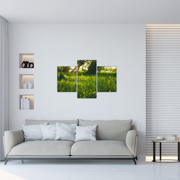 Slika prirode - livada (90x60 cm)
