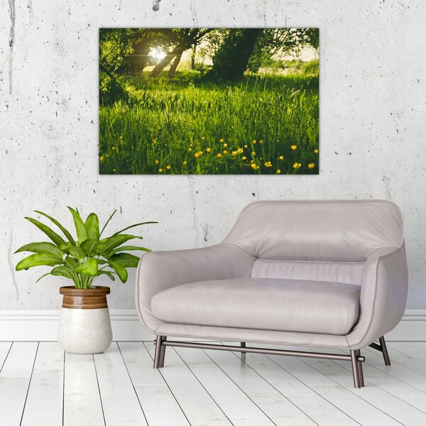 Slika prirode - livada (90x60 cm)