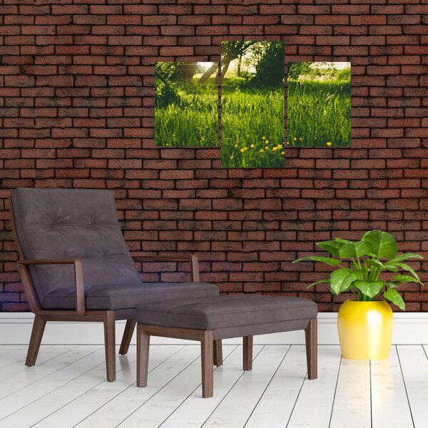 Slika prirode - livada (90x60 cm)