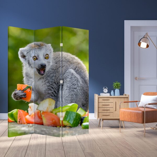 Paravan - lemur (126x170 cm)