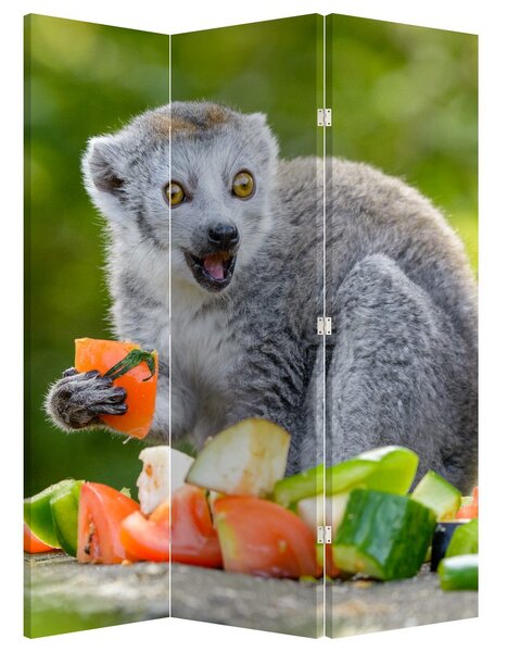 Paravan - lemur (126x170 cm)