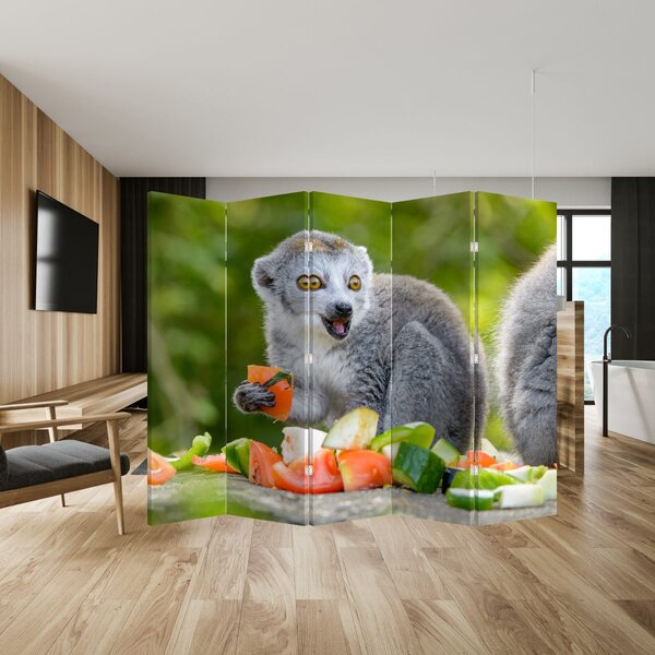 Paravan - lemur (210x170 cm)
