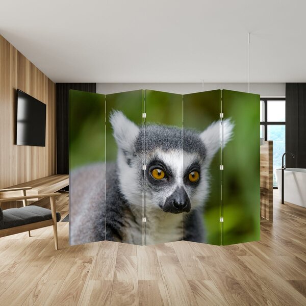 Paravan - lemur (210x170 cm)