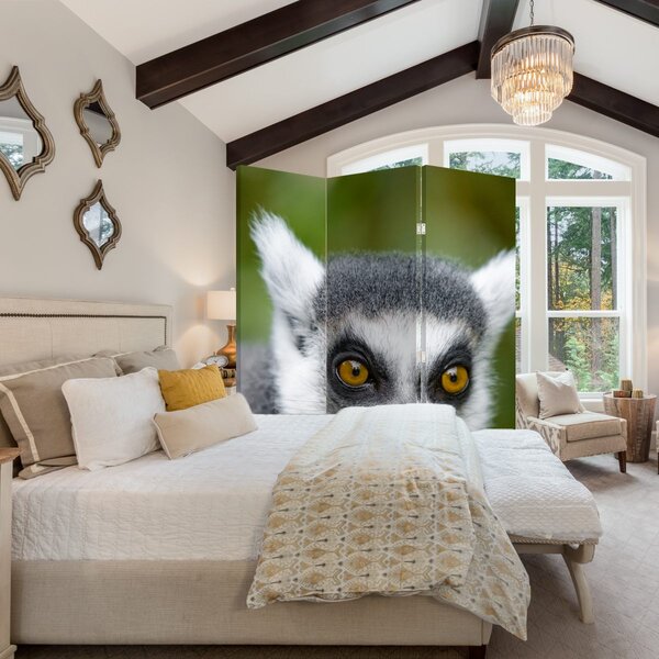 Paravan - lemur (126x170 cm)