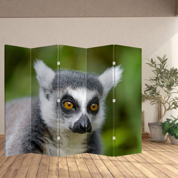 Paravan - lemur (210x170 cm)