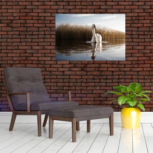 Slika labuda (90x60 cm)