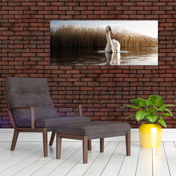 Slika labuda (120x50 cm)