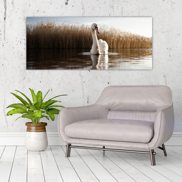 Slika labuda (120x50 cm)