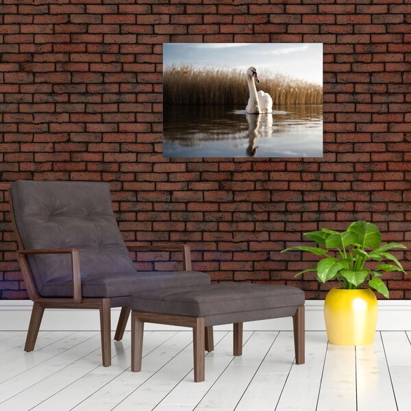 Slika labuda (70x50 cm)