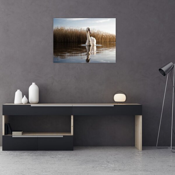 Slika labuda (70x50 cm)