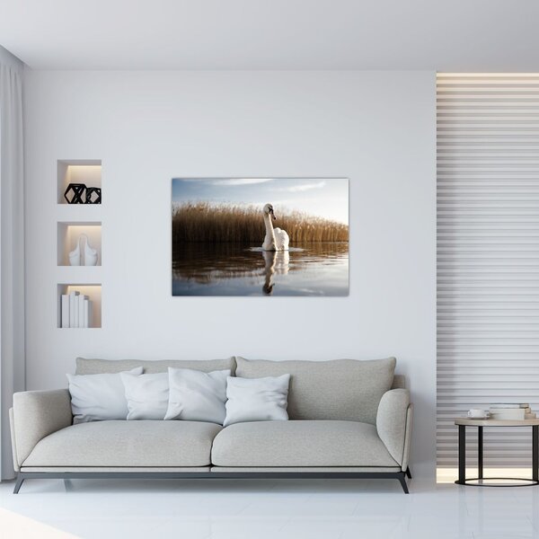 Slika labuda (90x60 cm)