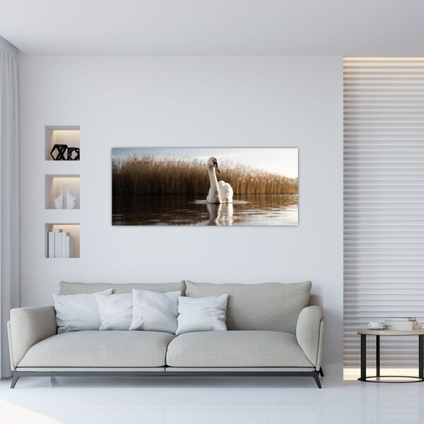 Slika labuda (120x50 cm)