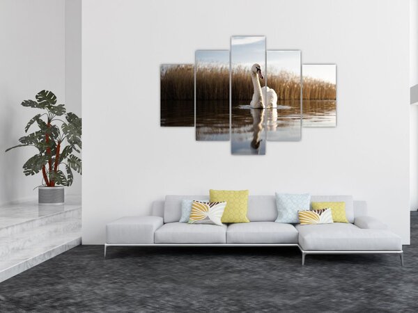 Slika labuda (150x105 cm)