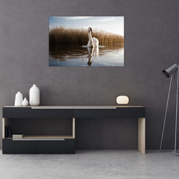 Slika labuda (90x60 cm)