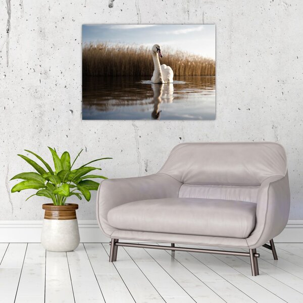 Slika labuda (70x50 cm)