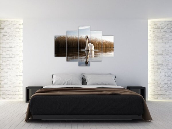 Slika labuda (150x105 cm)