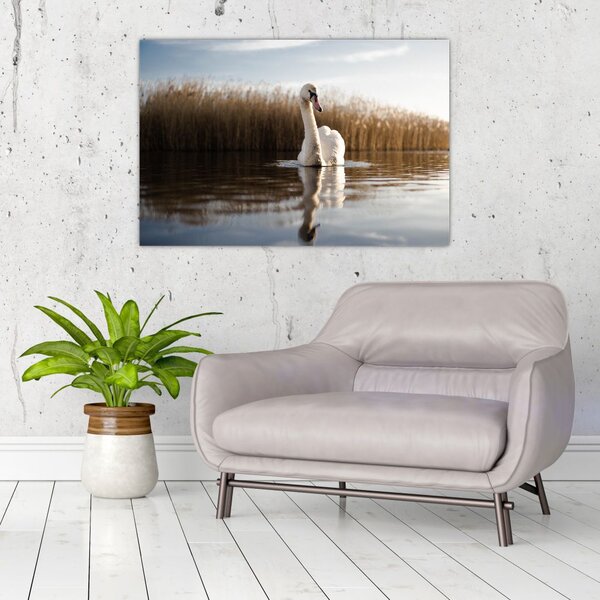 Slika labuda (90x60 cm)