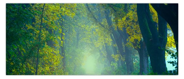 Slika staze obrubljene drvećem (120x50 cm)