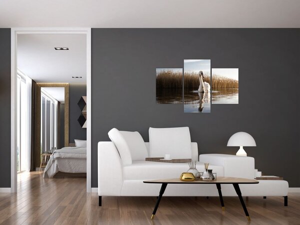 Slika labuda (90x60 cm)