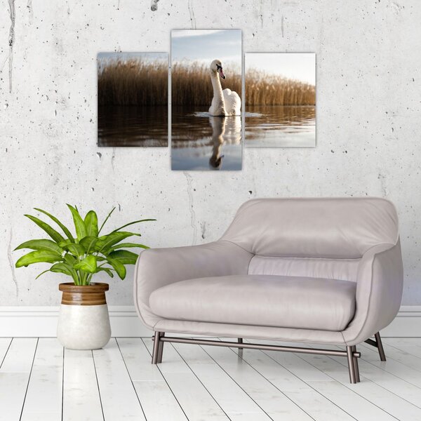 Slika labuda (90x60 cm)