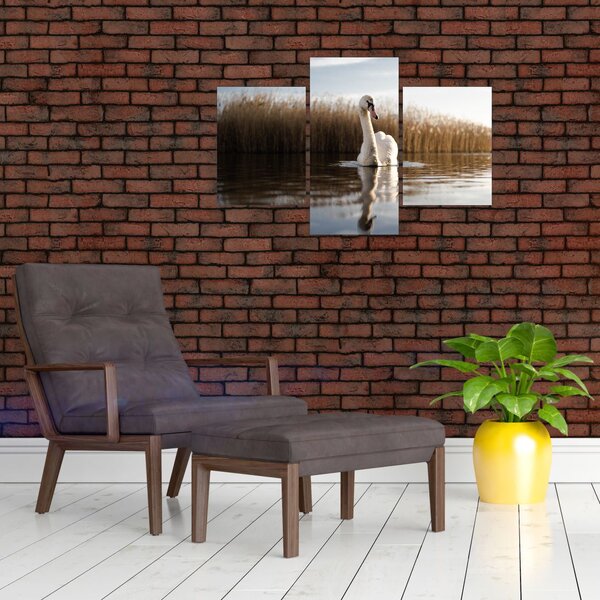 Slika labuda (90x60 cm)