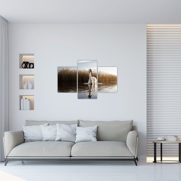 Slika labuda (90x60 cm)