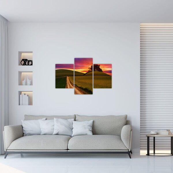Slika polja sa zalaskom sunca (90x60 cm)