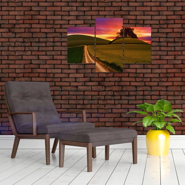 Slika polja sa zalaskom sunca (90x60 cm)