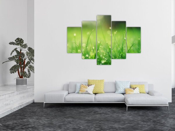 Slika - rosa na travi (150x105 cm)