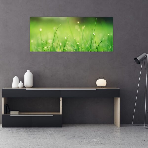 Slika - rosa na travi (120x50 cm)