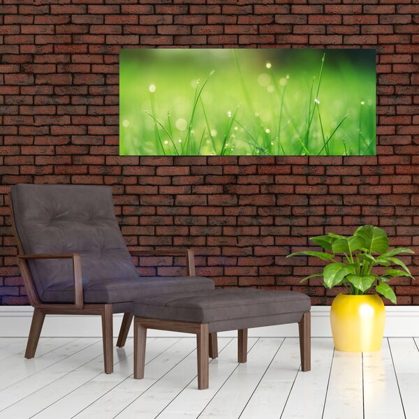 Slika - rosa na travi (120x50 cm)
