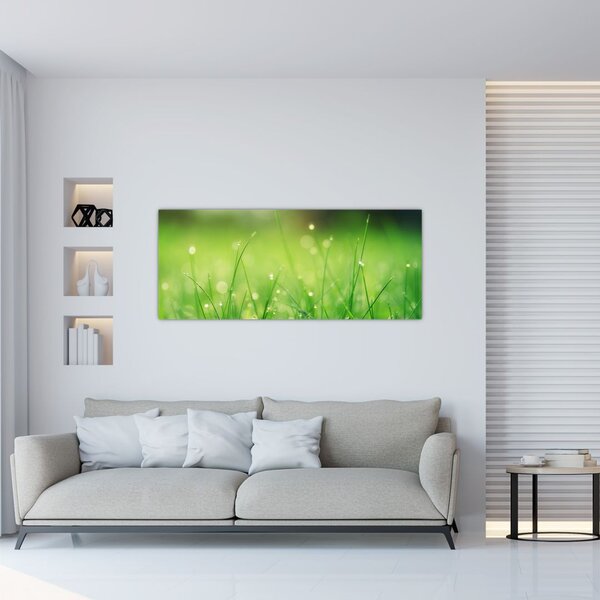 Slika - rosa na travi (120x50 cm)