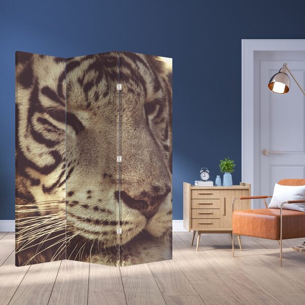 Paravan - Tigar (126x170 cm)