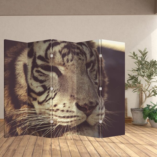 Paravan - Tigar (210x170 cm)