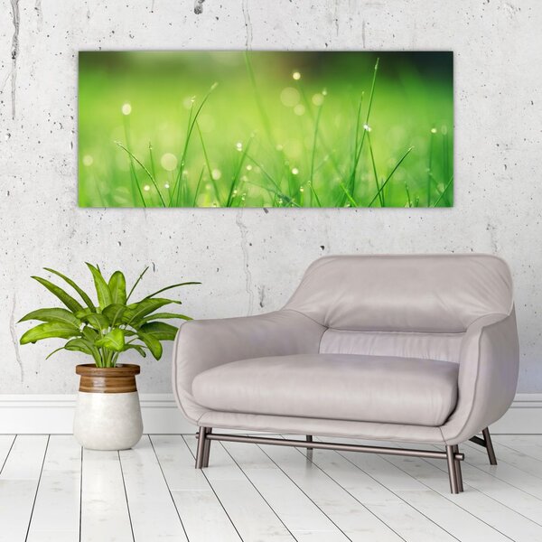 Slika - rosa na travi (120x50 cm)