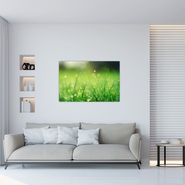 Slika - rosa na travi (90x60 cm)
