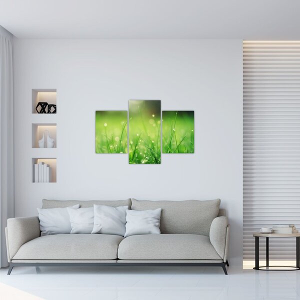 Slika - rosa na travi (90x60 cm)