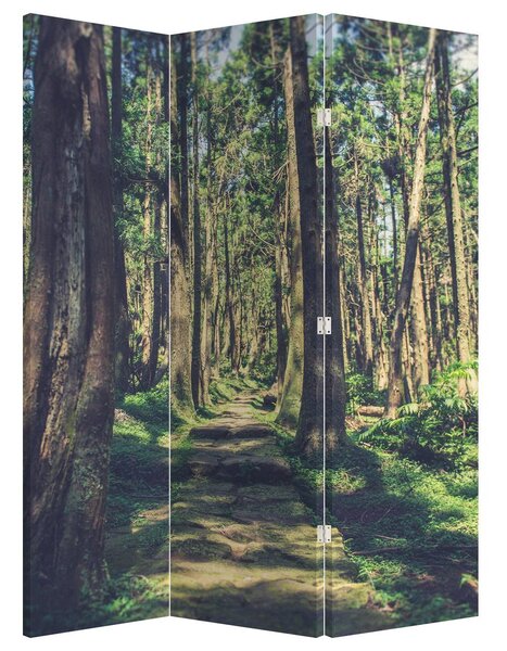 Paravan - Put kroz drveće (126x170 cm)