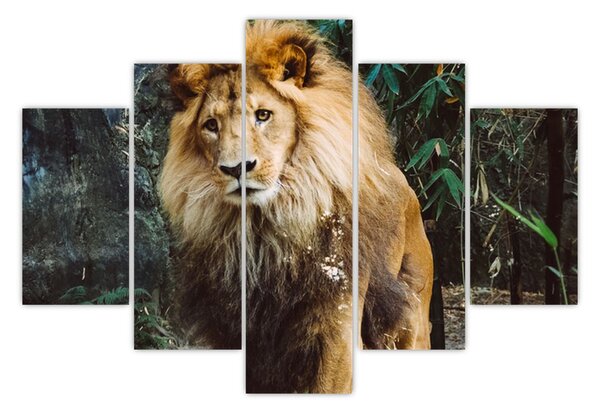 Slika lava u prirodi (150x105 cm)