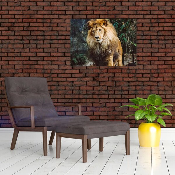 Slika lava u prirodi (70x50 cm)