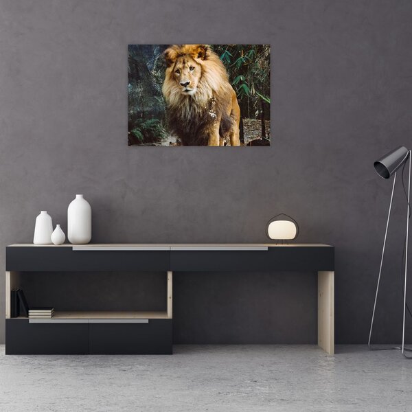 Slika lava u prirodi (70x50 cm)